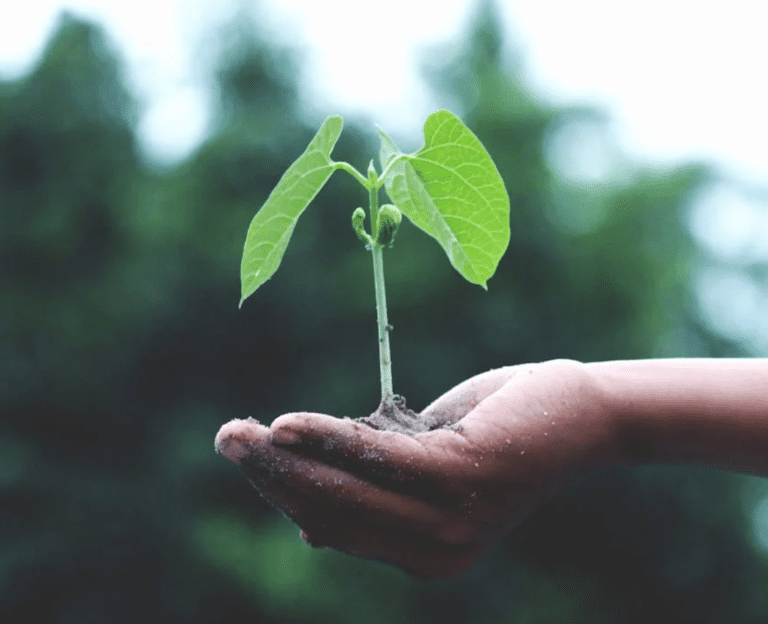 微信图片_20250422102006